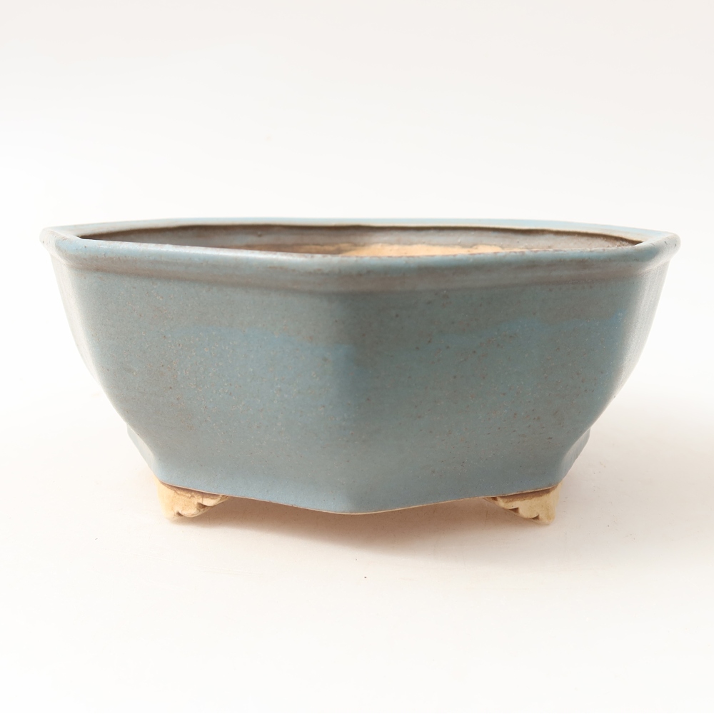 Pot à bonsaï en céramique 17 x 16 x 6,5 cm, couleur bleue