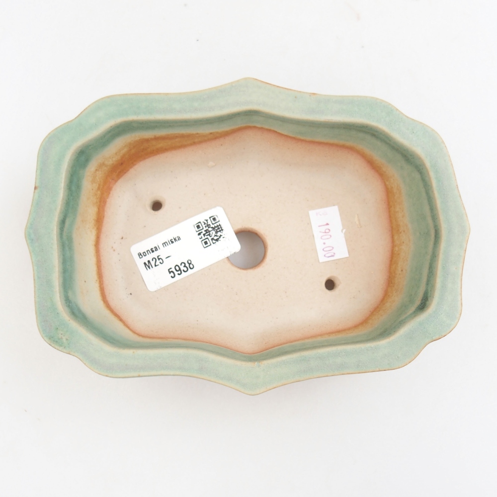 Bol à bonsaï en céramique 22 x 17 x 5 cm, vert