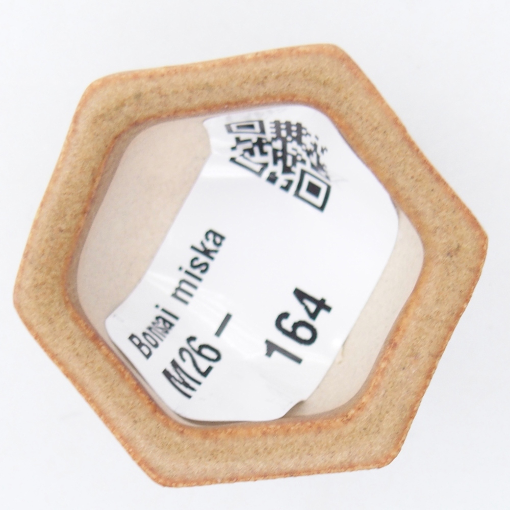 Mini bol bonsaï 4 x 3,5 x 2 cm, brun