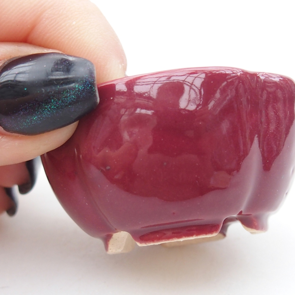 Mini bol bonsaï 4 x 4 x 2 cm, bordeaux
