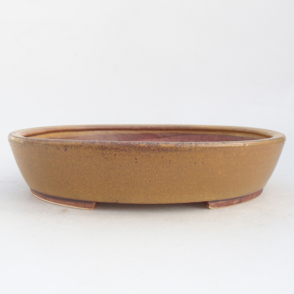 Bol à bonsaï en céramique 21 x 19 x 4,5 cm, brun