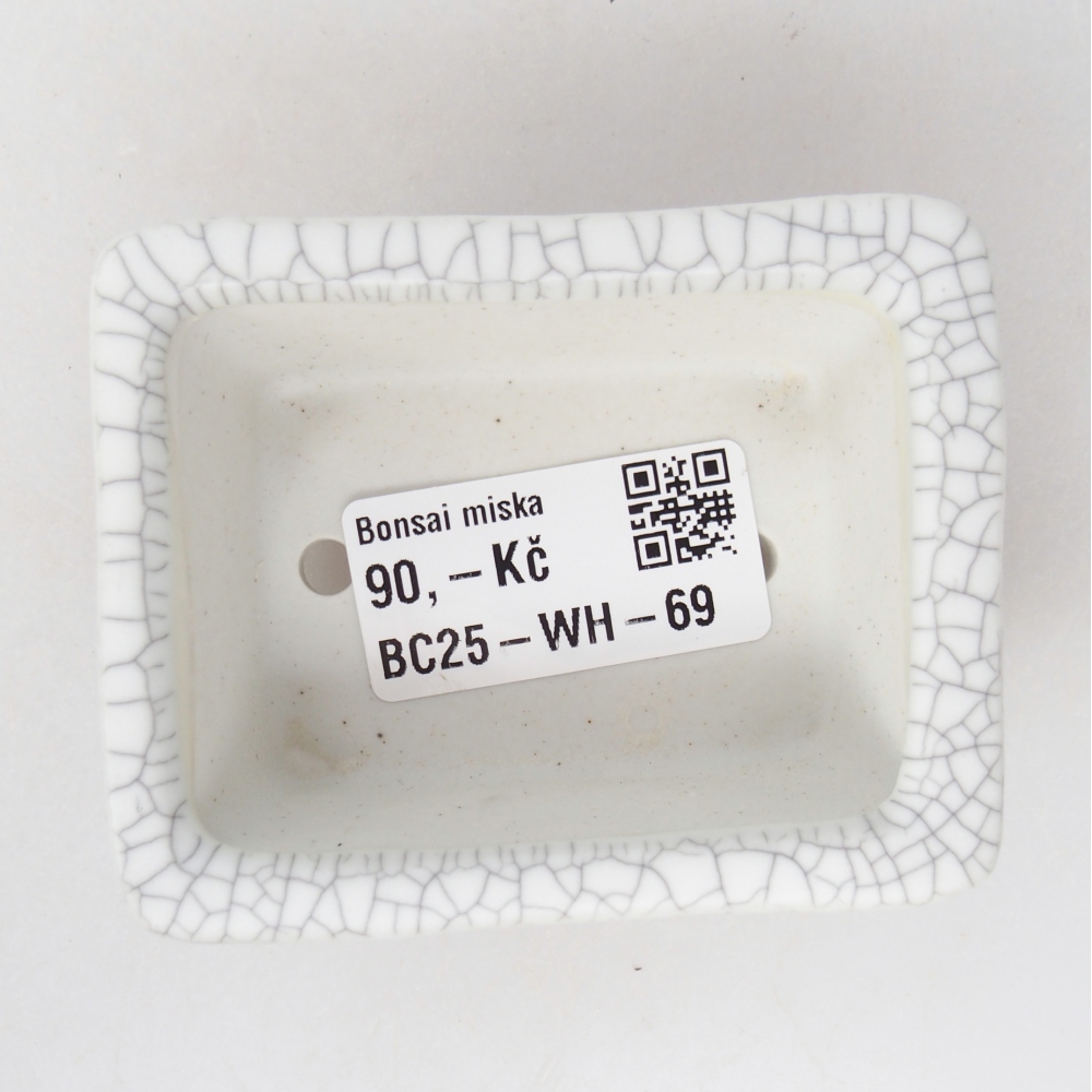 Mini bol bonsaï 8 x 6,5 x 3,5 cm, couleur raku