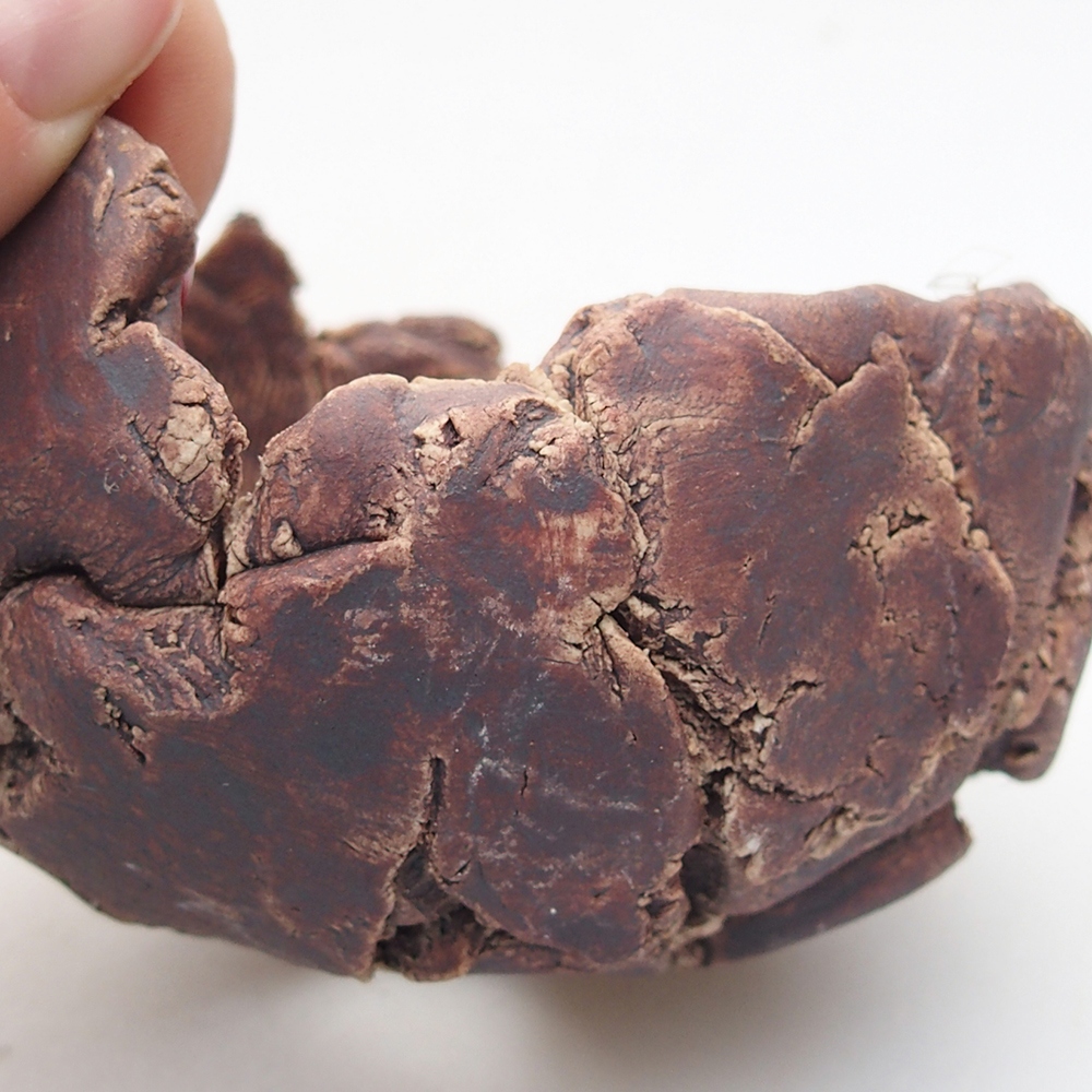 Coquille en céramique 9 x 8,5 x 6 cm , couleur marron