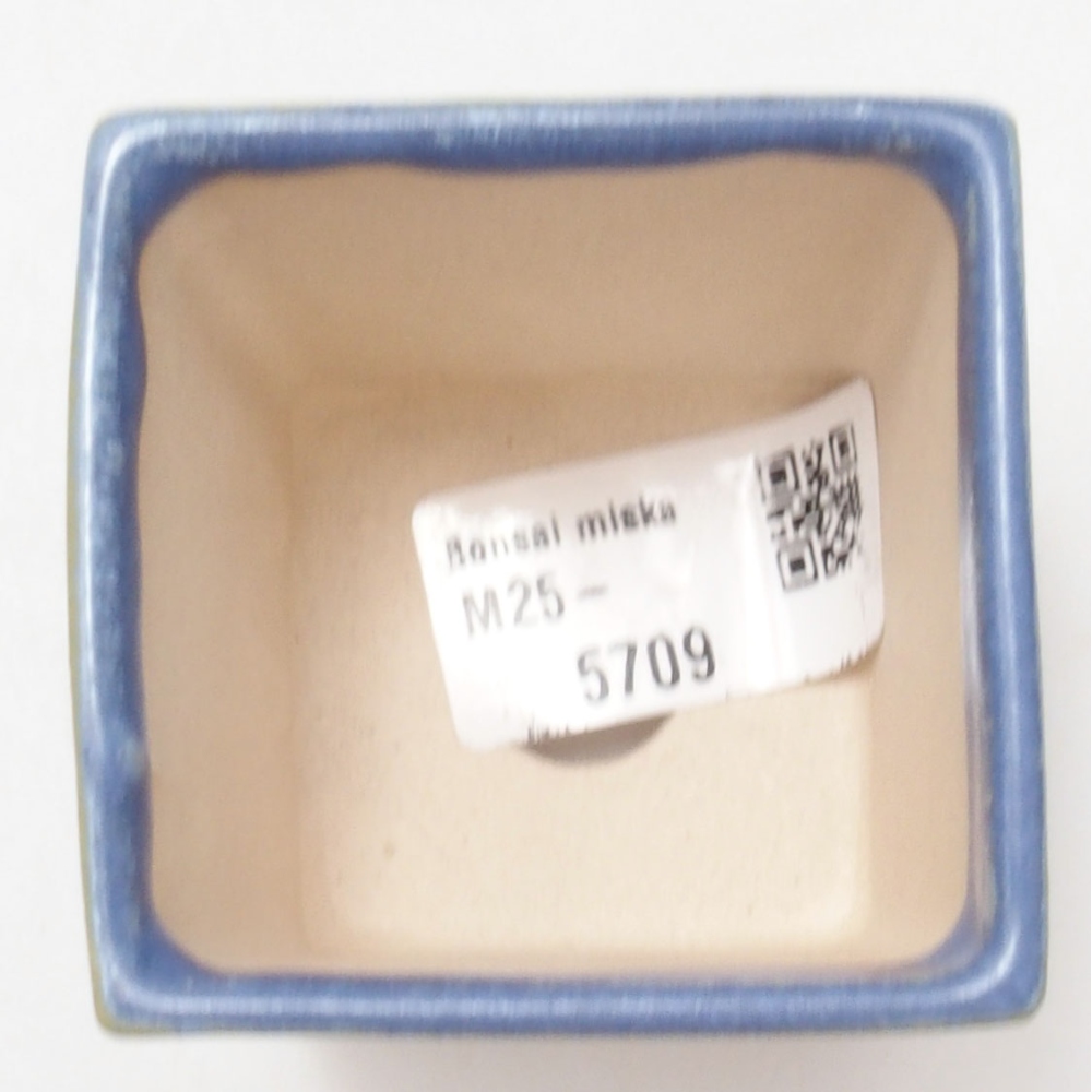 Mini bol bonsaï 5,5 x 5,5 x 6,5 cm, couleur bleu