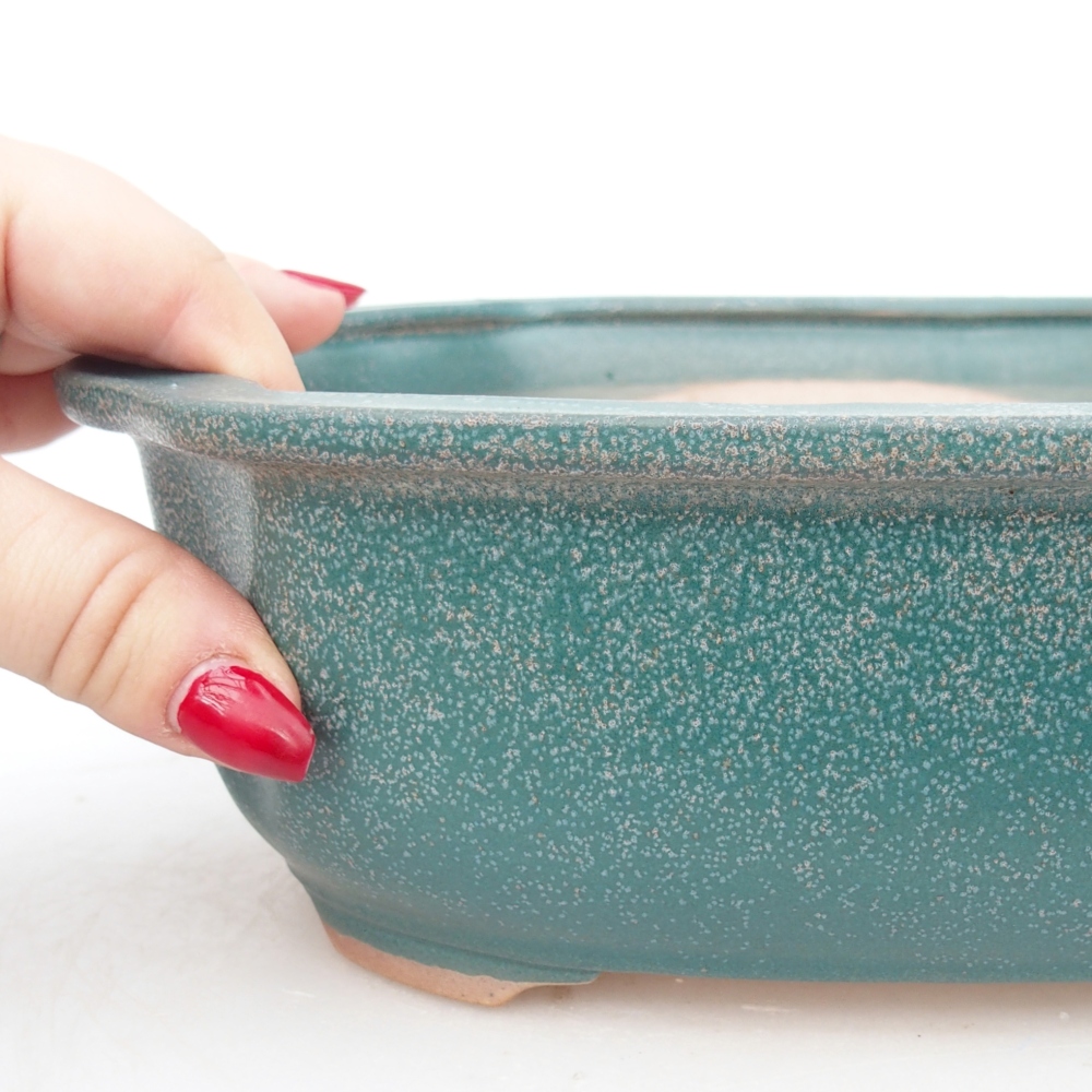 Bol à bonsaï en céramique 22 x 18 x 7,5 cm, couleur bleu