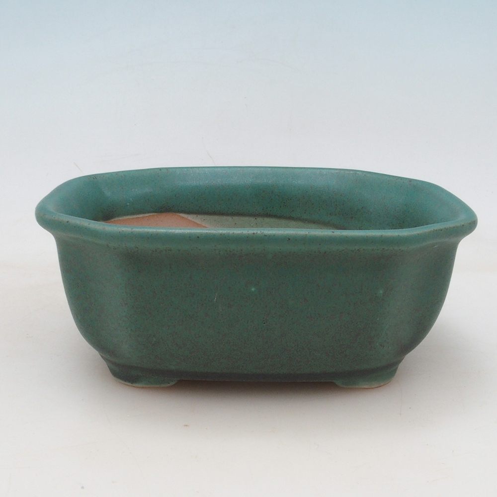 Bol Bonsaï + soucoupe H31 - vert