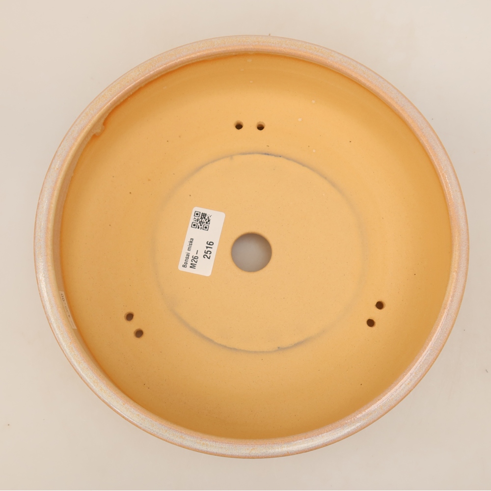 Pot à bonsaï en céramique 23 x 23 x 6 cm, couleur beige