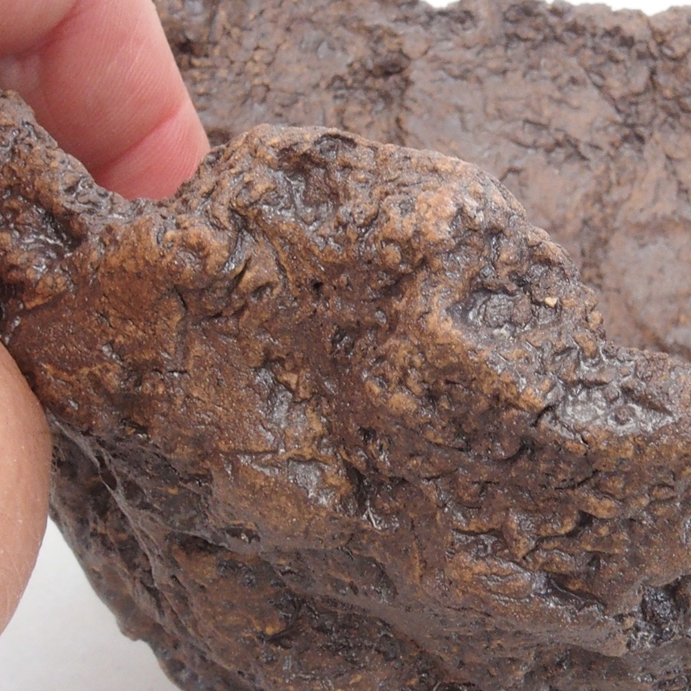 Coquille en céramique 13 x 10,5 x 12,5 cm , couleur marron