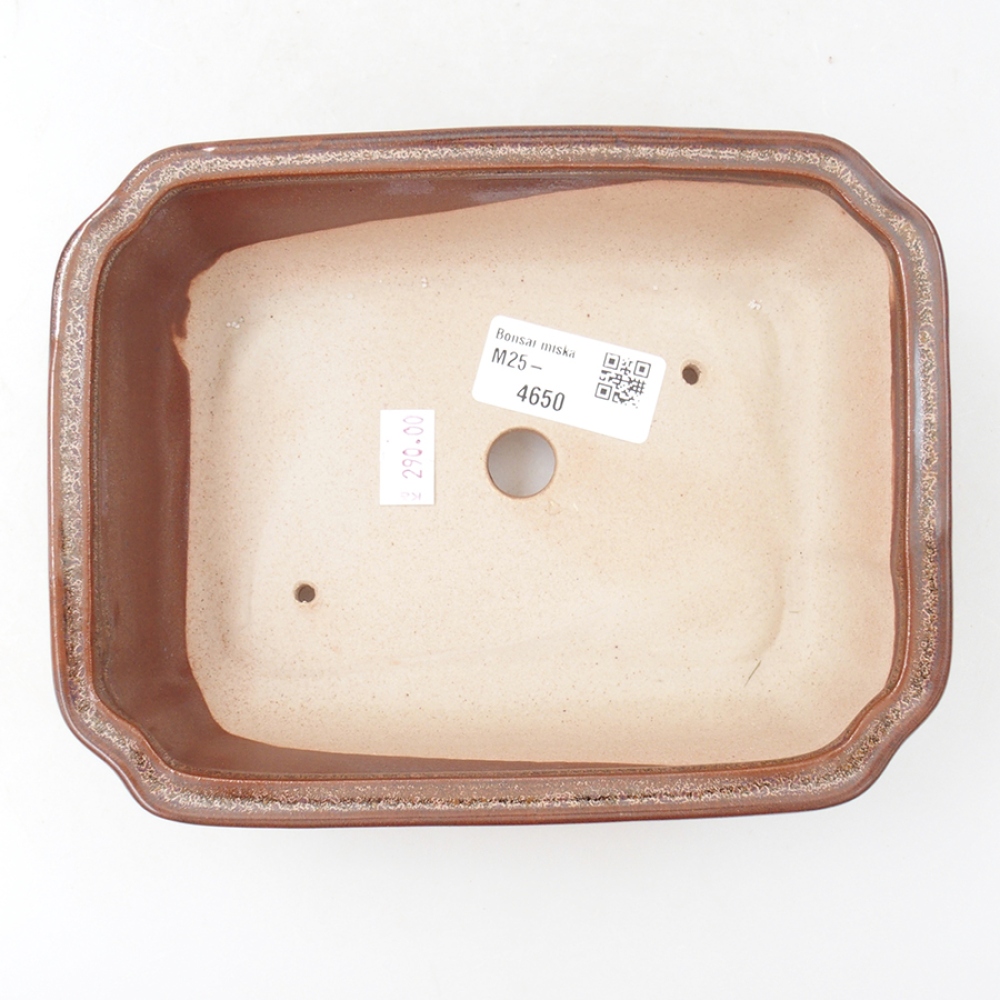Bol à bonsaï en céramique 18 x 13,5 x 5 cm, brun