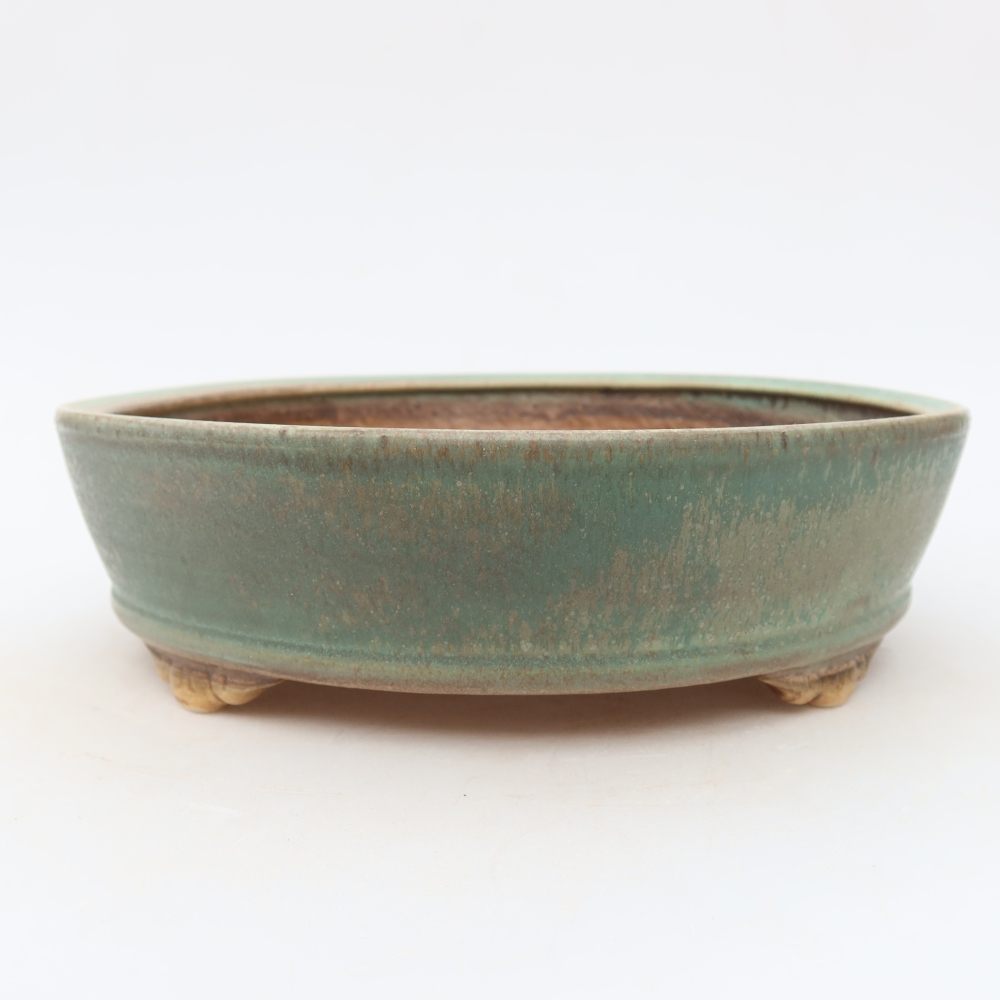 Bol à bonsaï en céramique 21,5 x 21,5 x 6 cm, vert