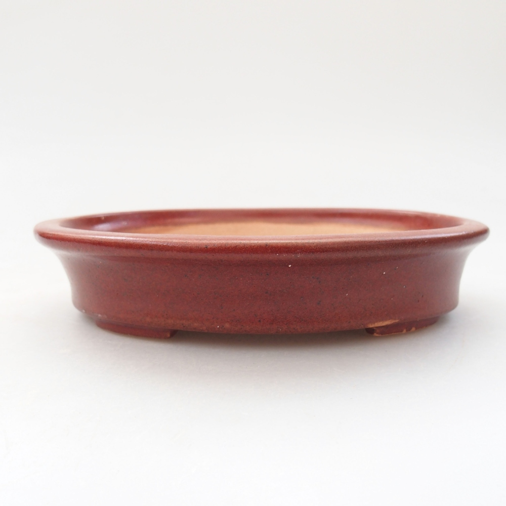 Bol à bonsaï en céramique 13 x 11 x 3 cm, bordeaux