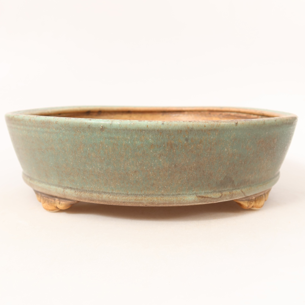 Bol à bonsaï en céramique 21,5 x 21,5 x 6 cm, vert