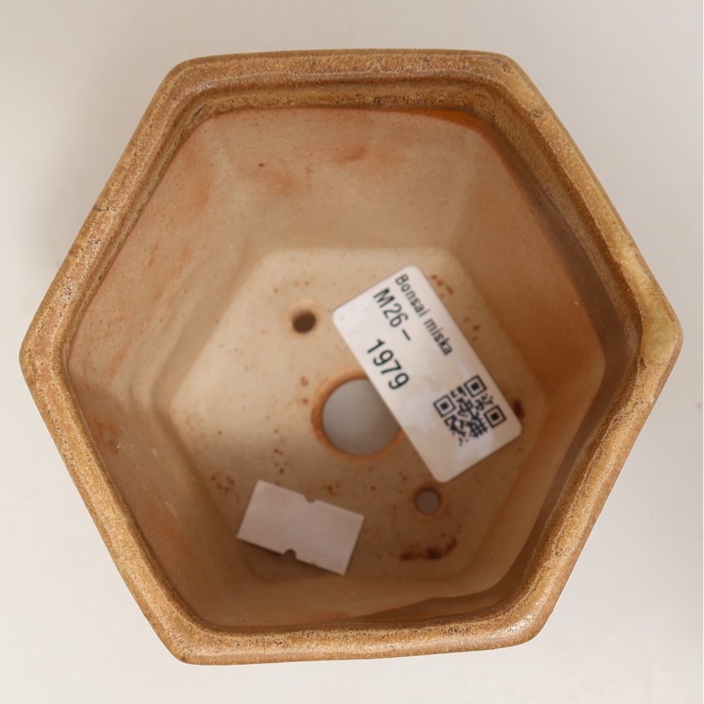Pot à bonsaï en céramique 9 x 8,5 x 8 cm, couleur beige