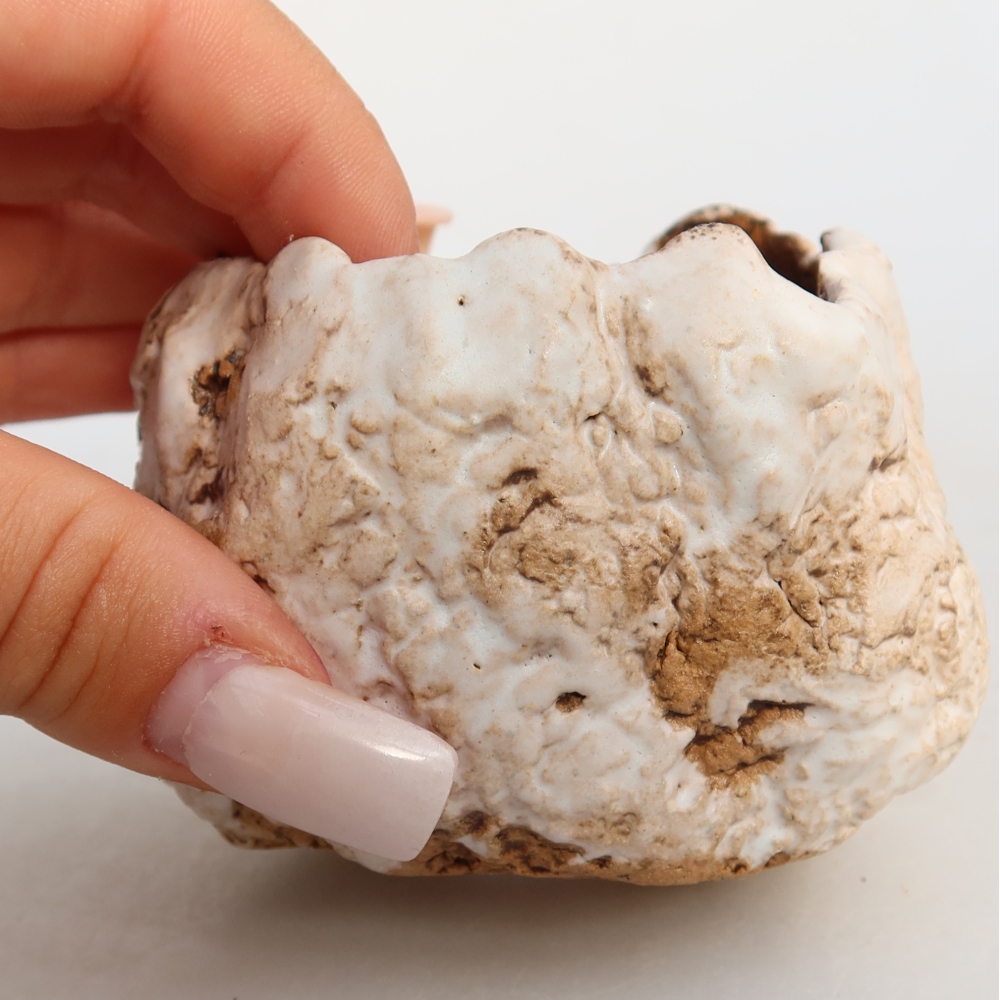 Coquille en céramique  7 x 7 x 6 cm, couleur blanc-brun