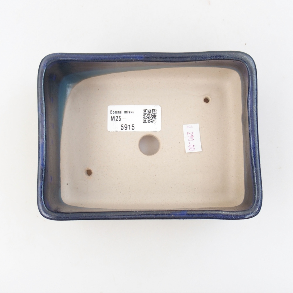 Bol à bonsaï en céramique 22 x 17 x 5 cm, vert