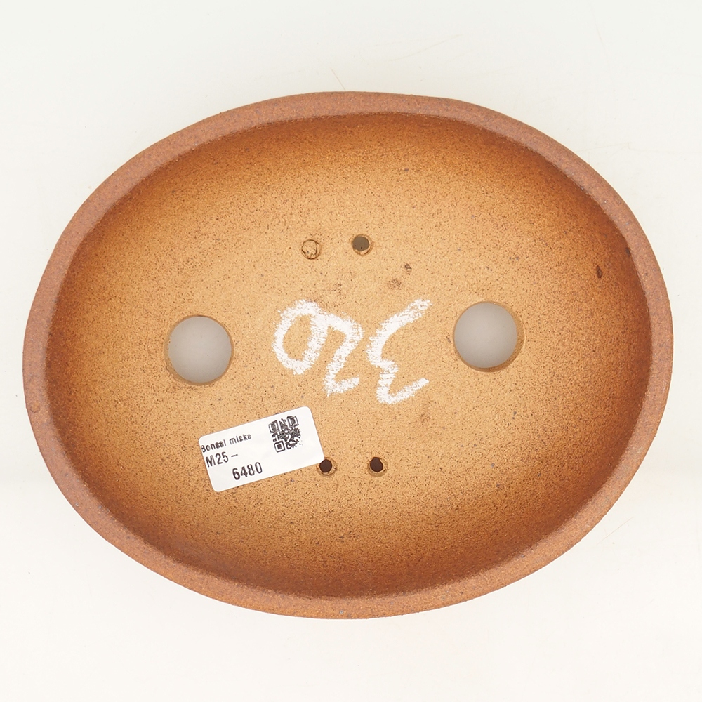 Bol à bonsaï 20 x 16 x 6 cm , couleur marron