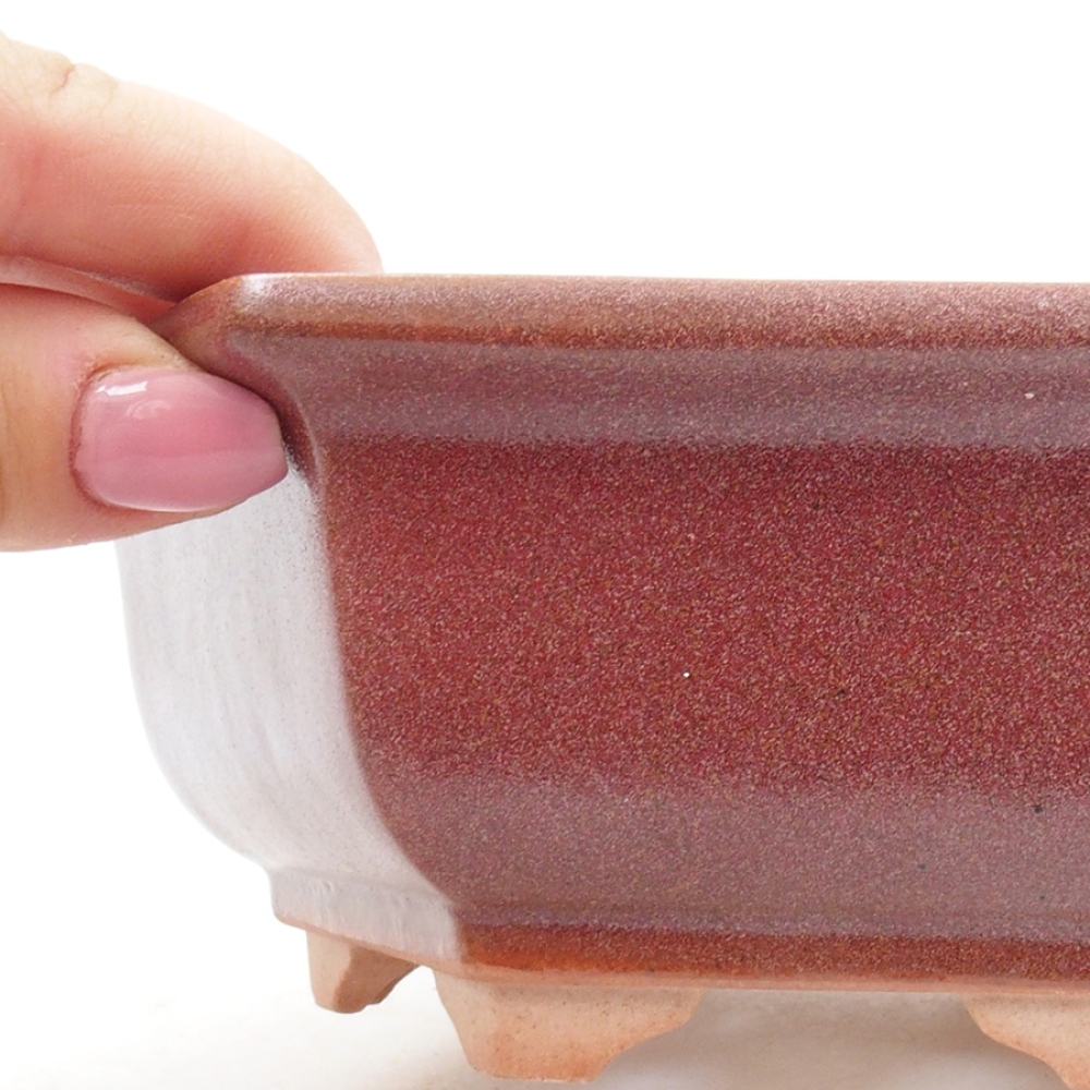 Bol à bonsaï en céramique 14 x 11 x 4 cm, bordeaux