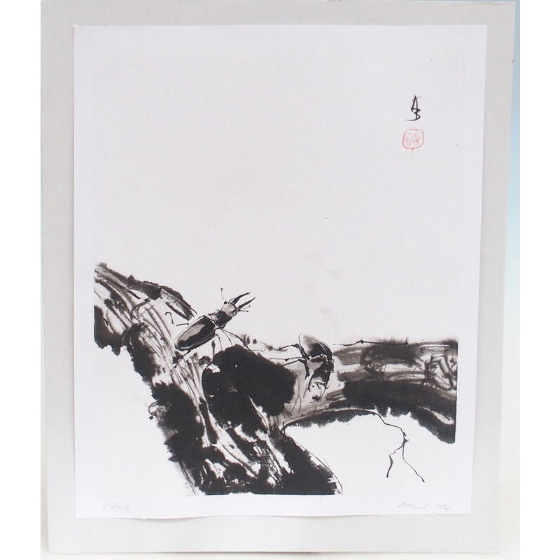 Calligraphie - Roháči