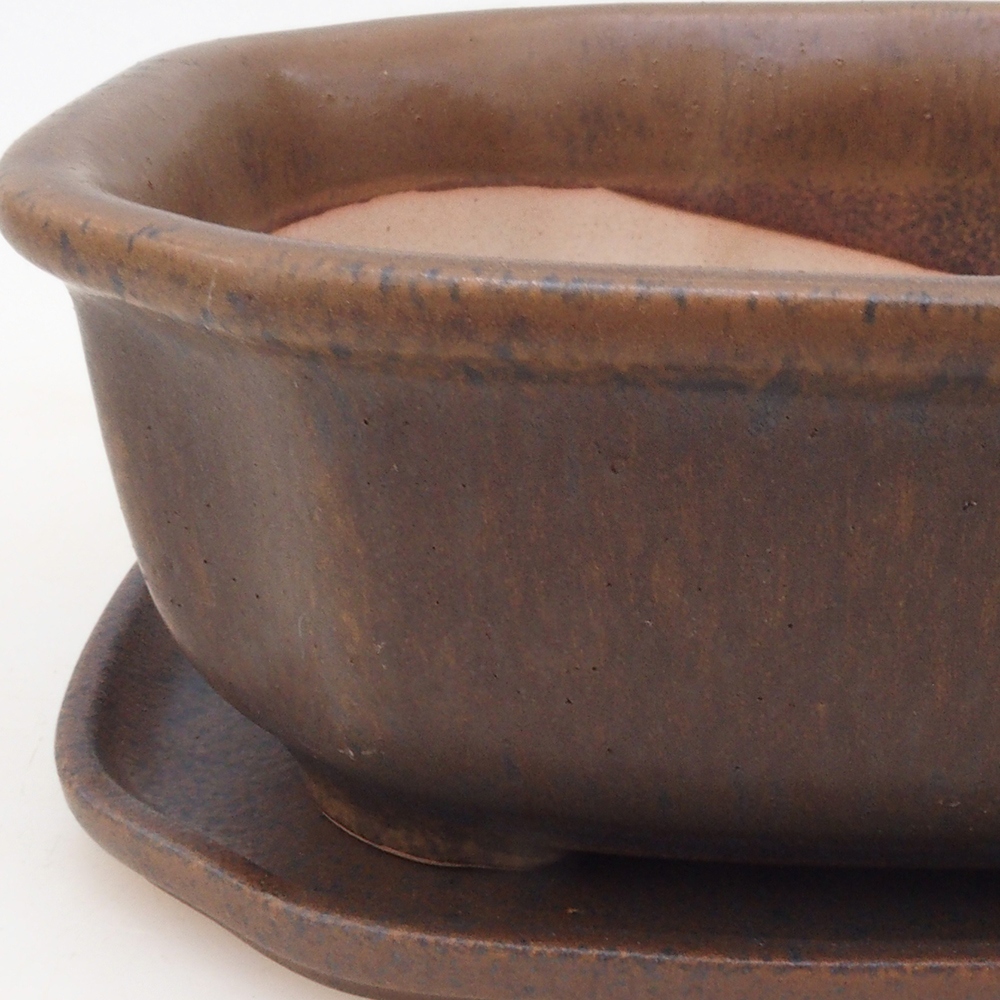 Bol Bonsaï + soucoupe H32 - brun