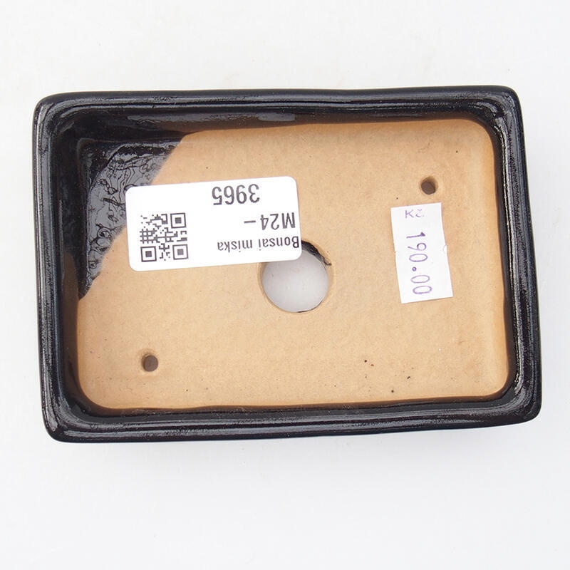 Bol à bonsaï en céramique 10,5 x 7 x 2 cm, couleur noire