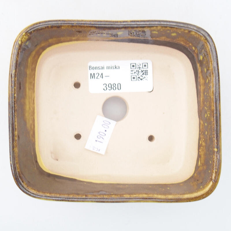 Bol à bonsaï en céramique 10,5 x 9,5 x 4 cm, jaune