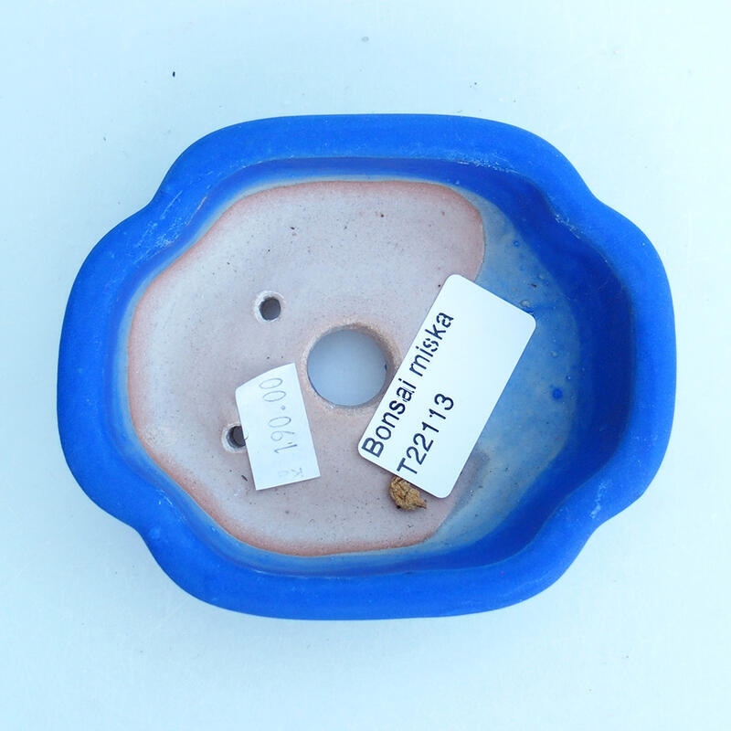 Bol à bonsaï en céramique 10,5 x 9 x 3,5 cm, couleur bleu