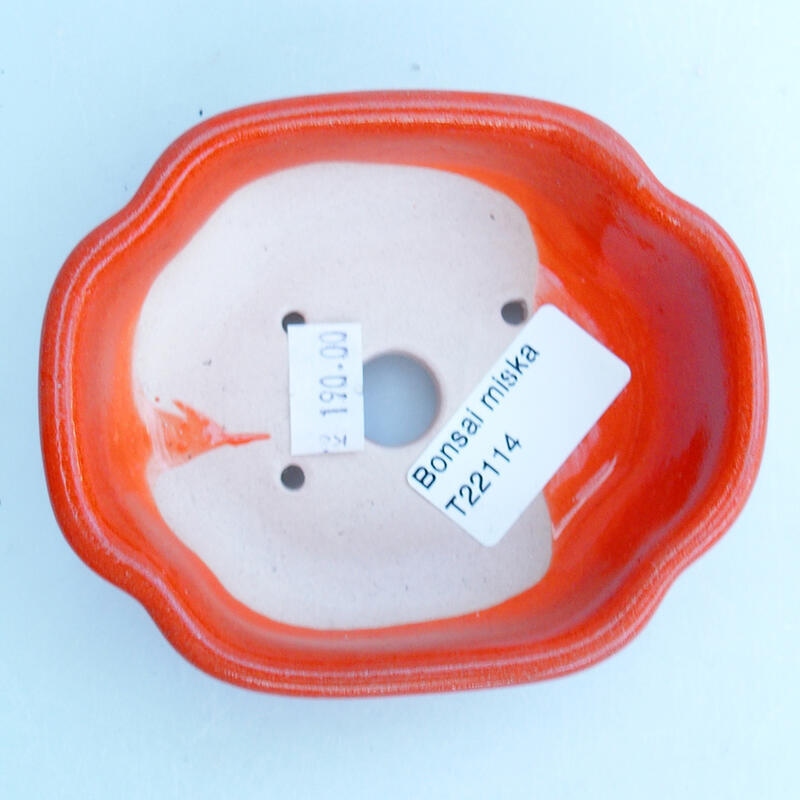 Bol à bonsaï en céramique 10,5 x 9 x 3,5 cm, orange