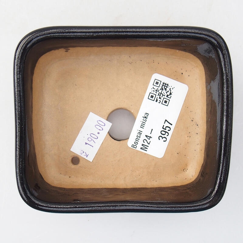 Bol à bonsaï en céramique 10 x 5,5 x 3,5 cm, noir