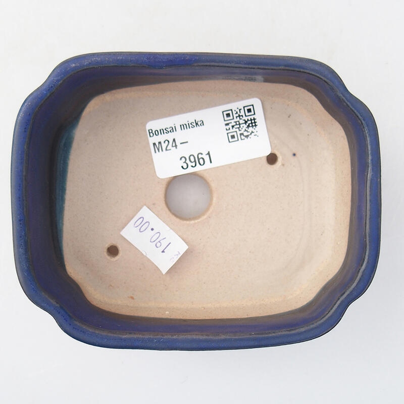 Bol à bonsaï en céramique 10 x 5,5 x 4 cm, couleur bleu