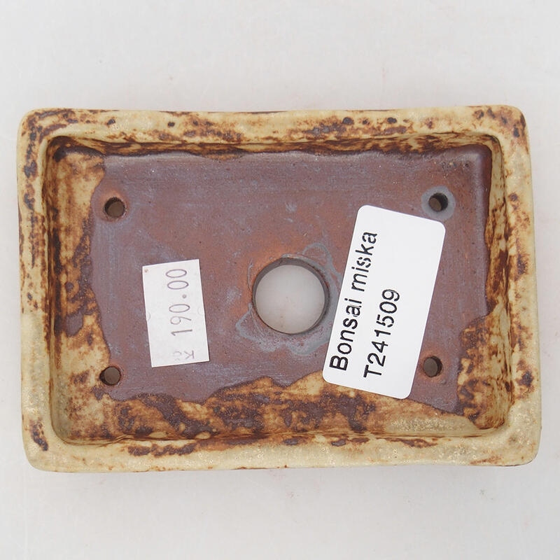 Bol à bonsaï en céramique 10 x 7 x 2 cm, couleur beige
