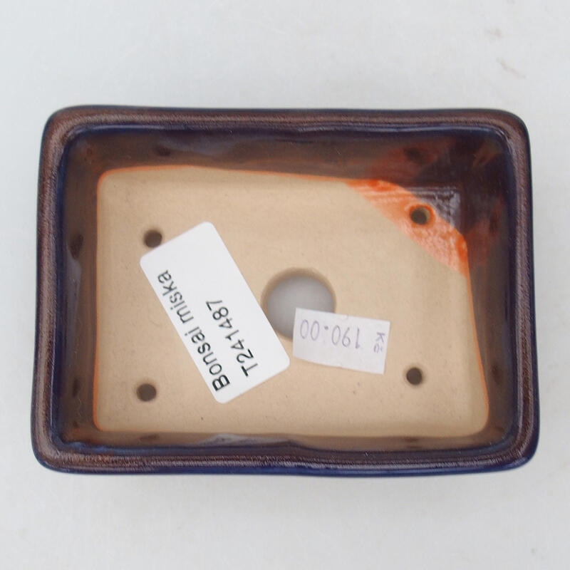 Bol à bonsaï en céramique 10 x 7 x 3,5 cm, couleur violet