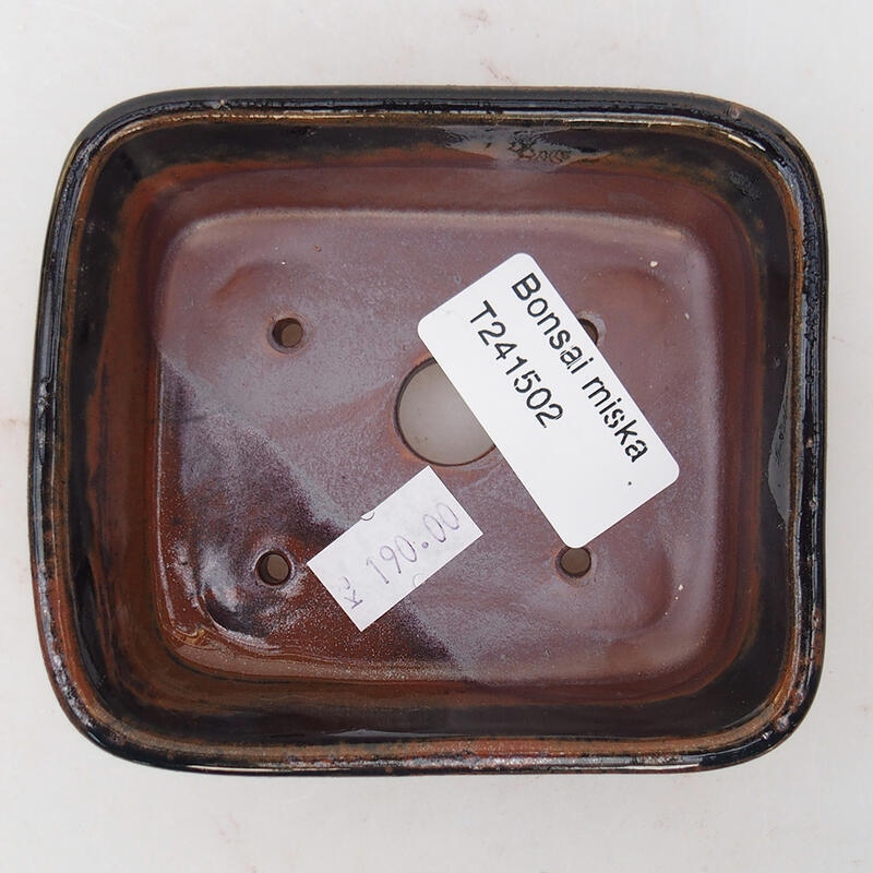 Bol à bonsaï en céramique 10 x 8,5 x 3,5 cm, noir