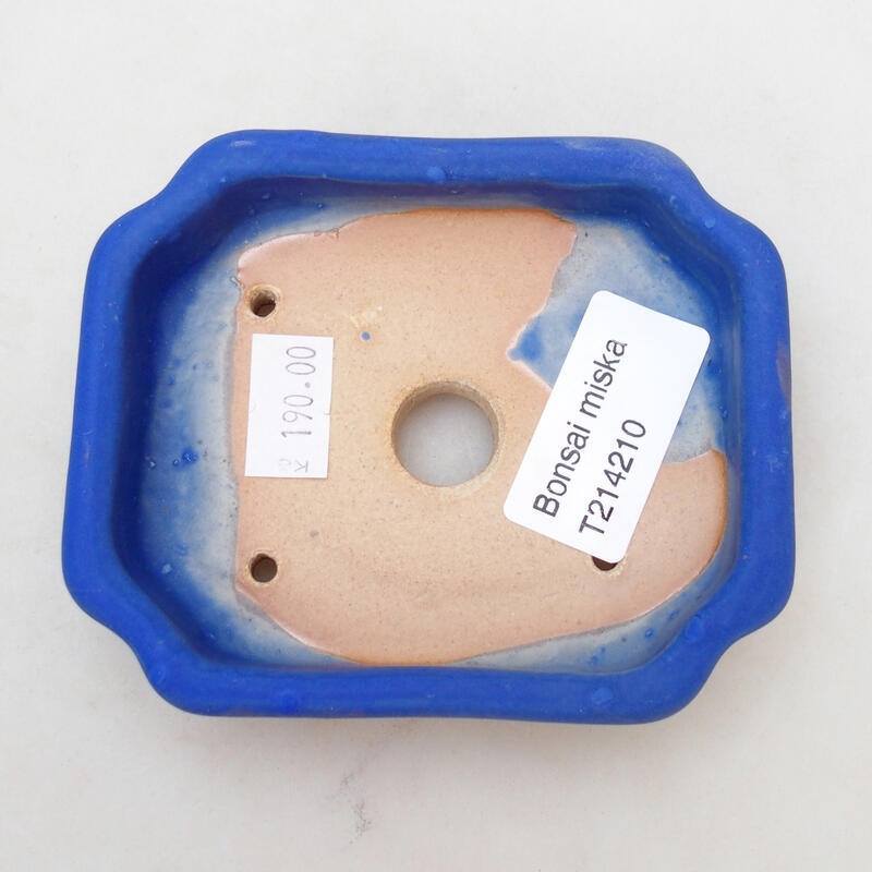 Bol à bonsaï en céramique 10 x 8 x 2,5 cm, couleur bleu