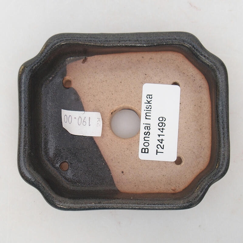 Bol à bonsaï en céramique 10 x 8 x 2 cm, noir
