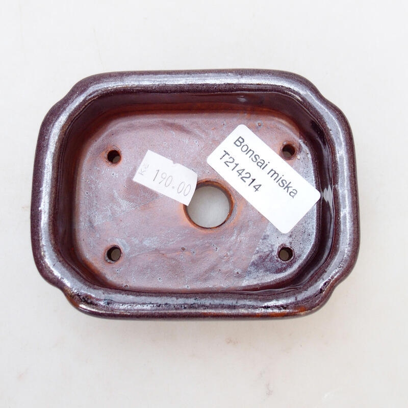 Bol à bonsaï en céramique 10 x 8 x 3,5 cm, brun