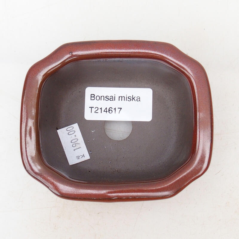 Bol à bonsaï en céramique 10 x 8 x 4 cm, brun
