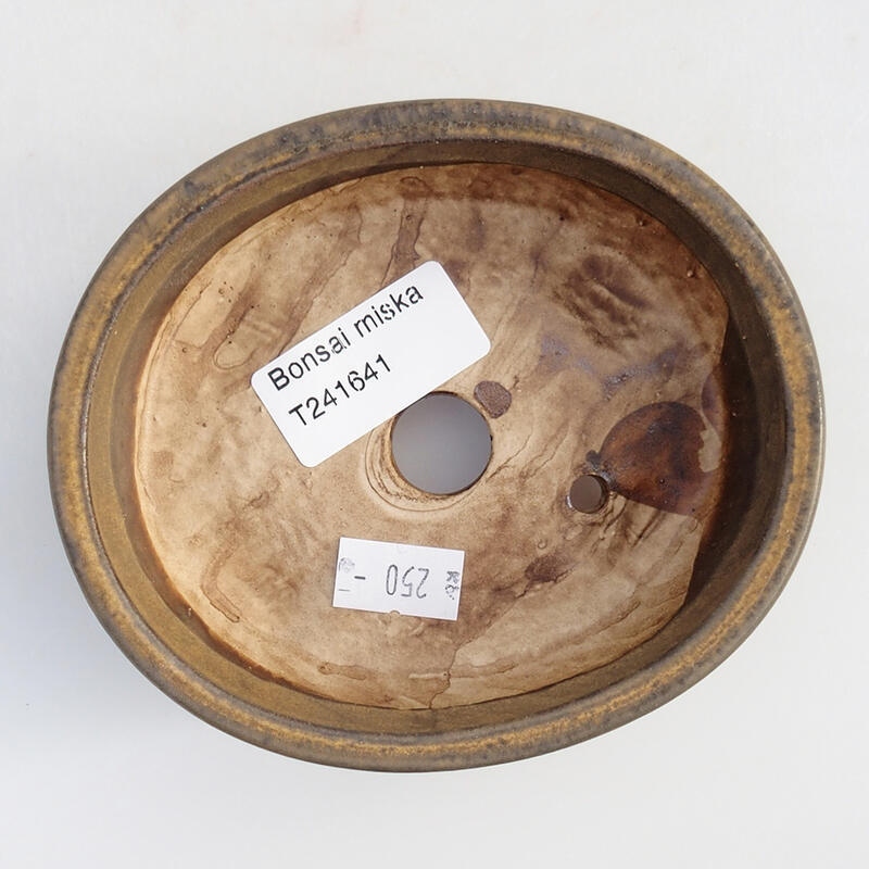 Bol à bonsaï en céramique 11,5 x 10 x 3,5 cm, brun
