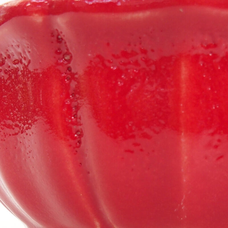 Bol à bonsaï en céramique 11,5 x 11,5 x 5 cm, couleur rouge