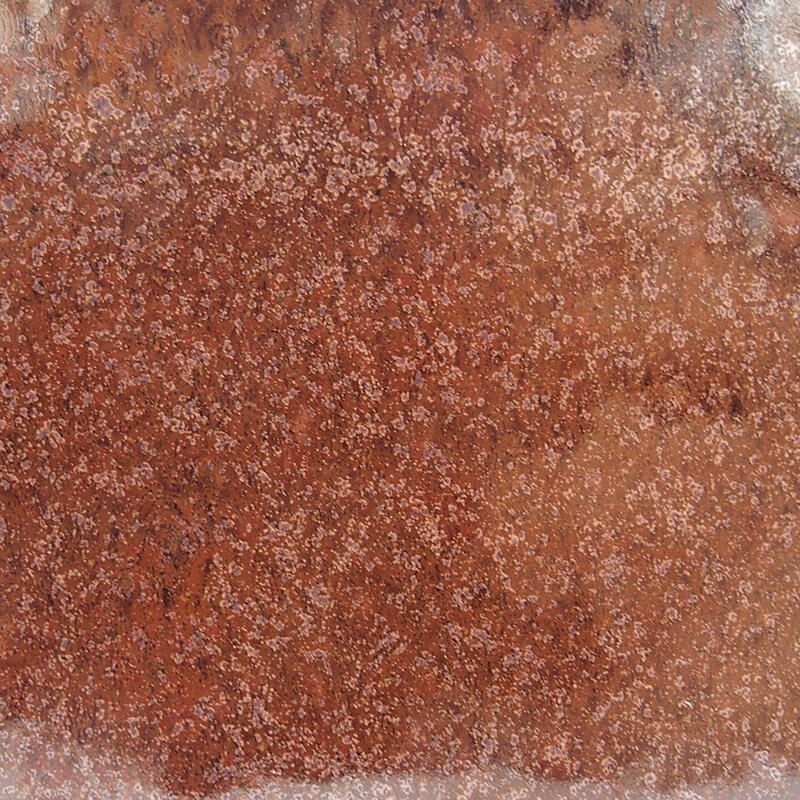 Bol à bonsaï en céramique 11,5 x 11,5 x 9 cm, vert