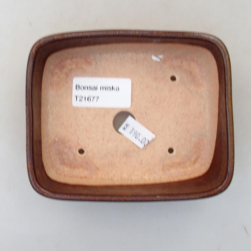 Bol à bonsaï en céramique 11,5 x 9,5 x 3,5 cm, brun
