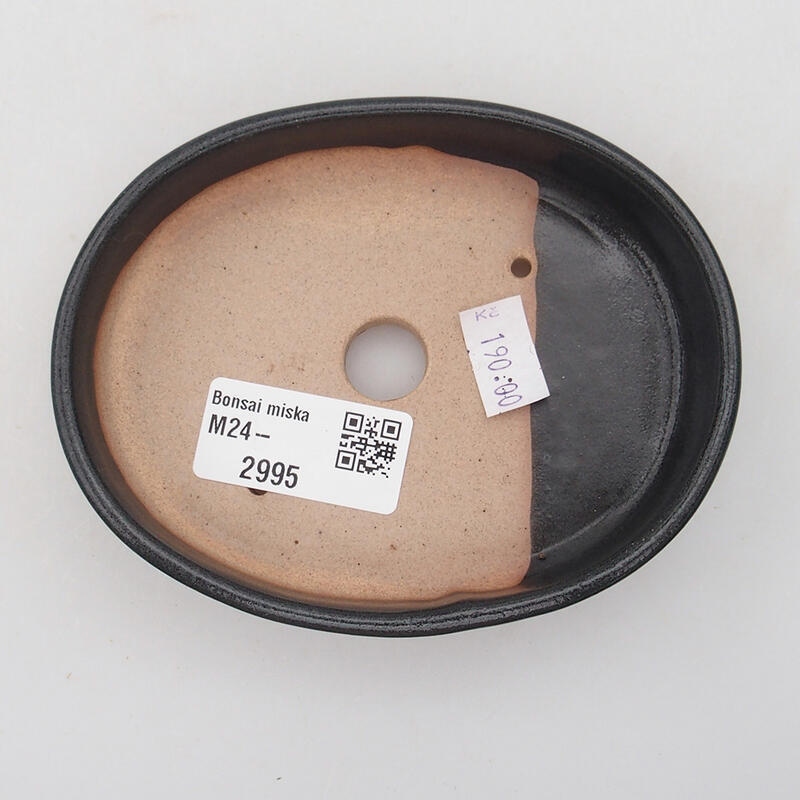 Bol à bonsaï en céramique 11,5 x 9 x 2 cm, couleur noire