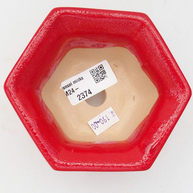Bol à bonsaï en céramique 11 x 10 x 5,5 cm, couleur rouge