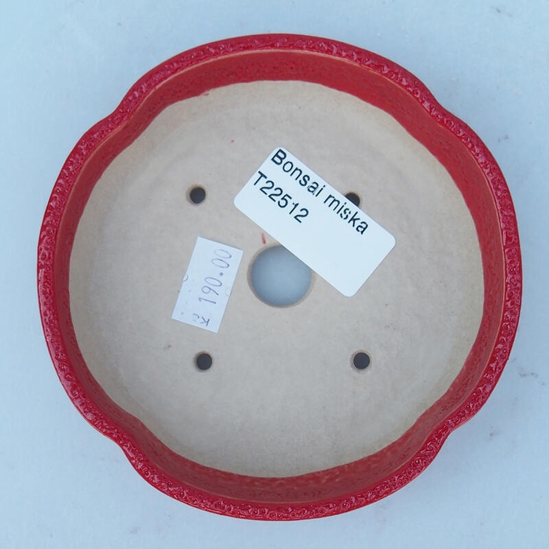 Bol à bonsaï en céramique 11 x 11 x 2,5 cm, couleur rouge