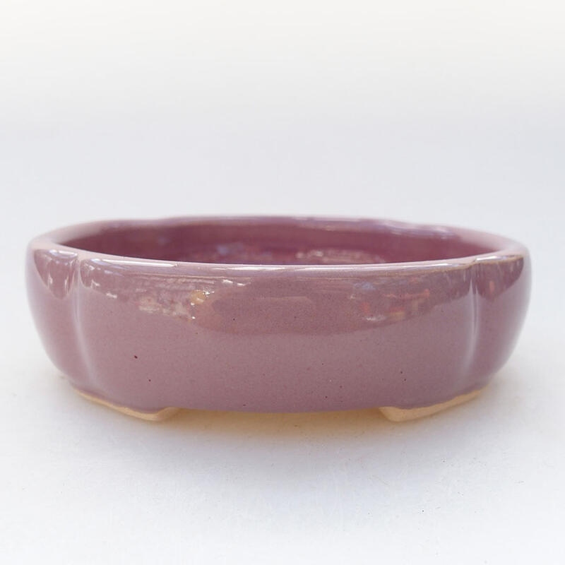 Bol à bonsaï en céramique 11 x 11 x 3 cm, couleur violet