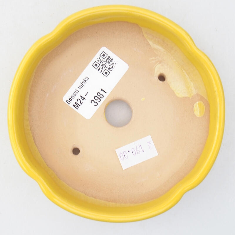 Bol à bonsaï en céramique 11 x 11 x 3 cm, jaune