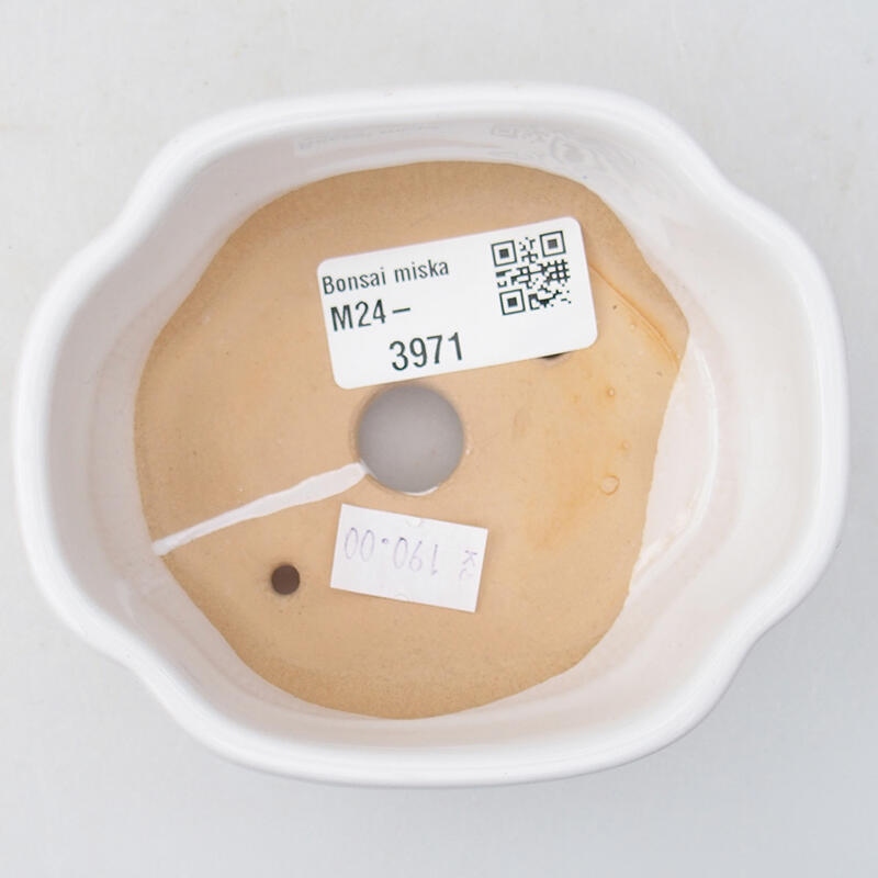 Bol à bonsaï en céramique 11 x 8,5 x 3,5 cm, blanc