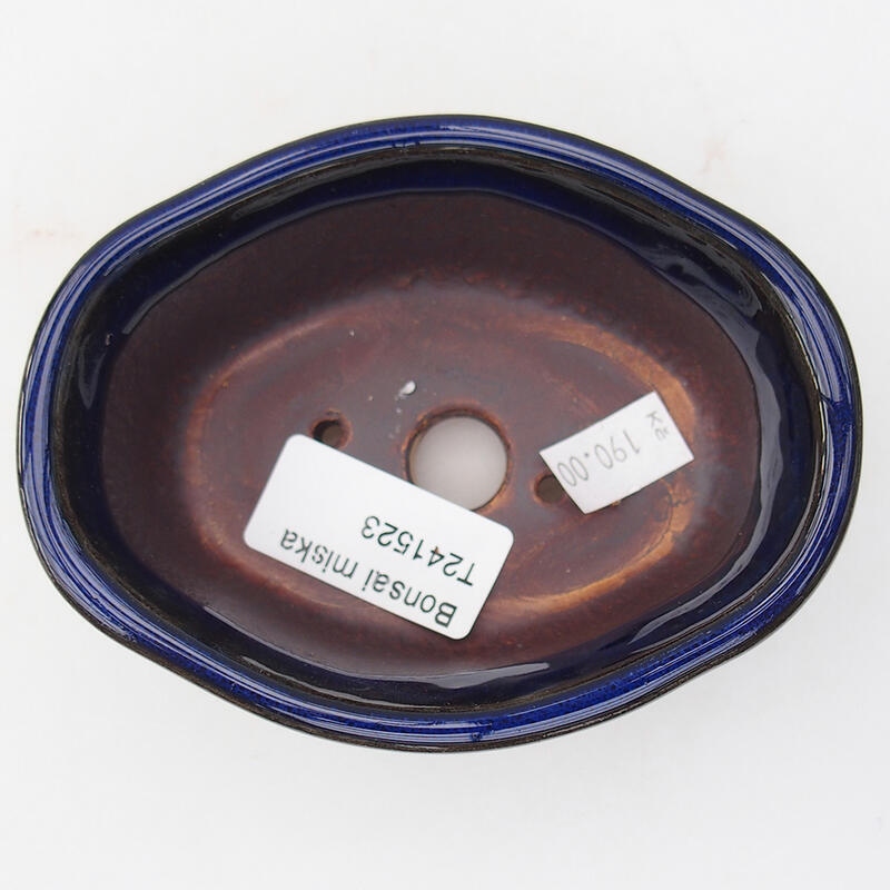 Bol à bonsaï en céramique 11 x 8 x 4,5 cm, couleur bleu