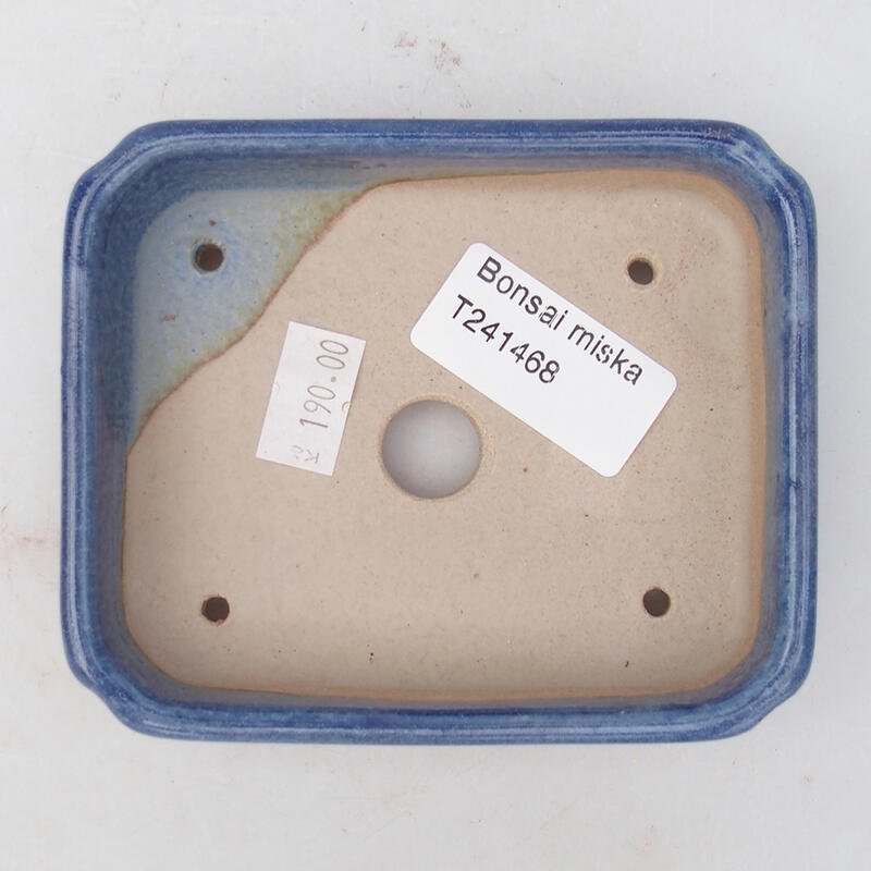 Bol à bonsaï en céramique 11 x 9,5 x 3 cm, couleur bleu