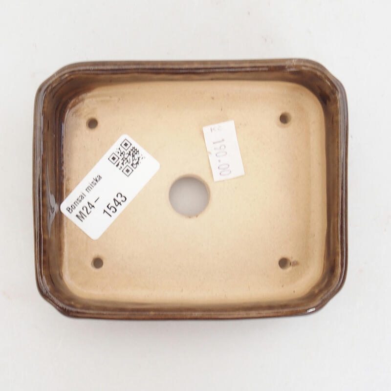 Bol à bonsaï en céramique 11 x 9 x 3,5 cm, brun