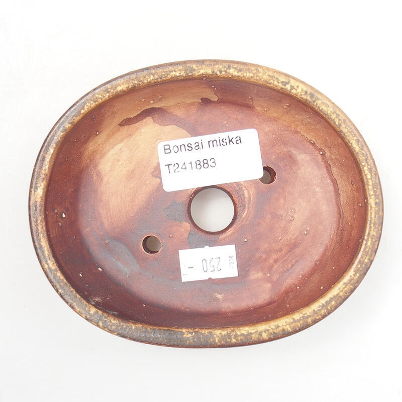 Bol à bonsaï en céramique 12,5 x 10,5 x 4 cm, brun